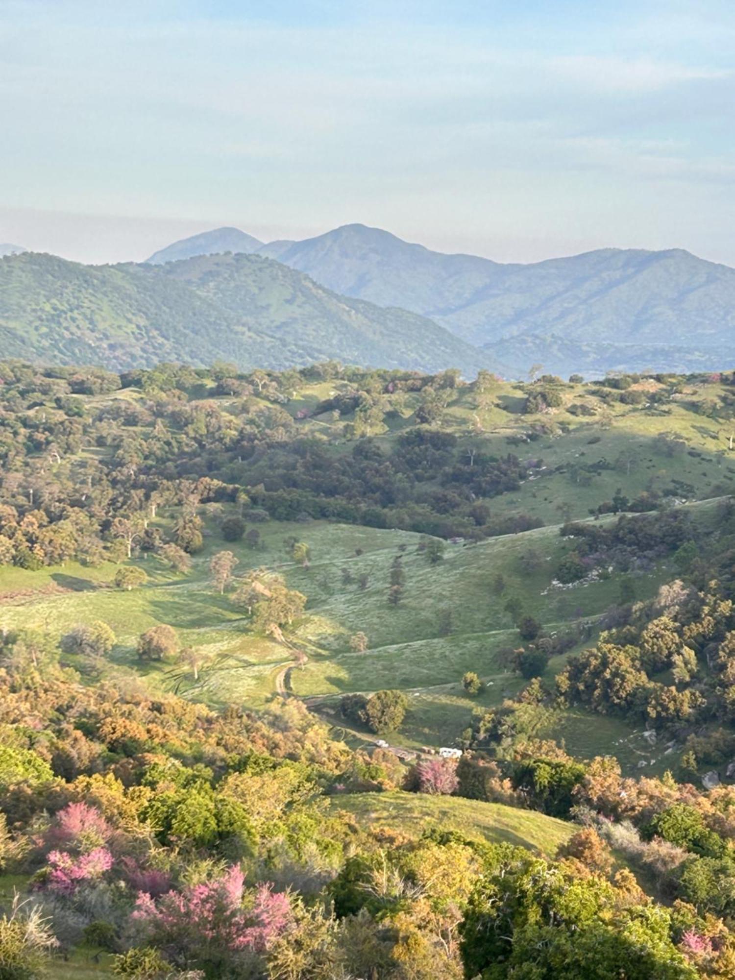 הוילה Miramonte Mystic Mountain Retreat מראה חיצוני תמונה