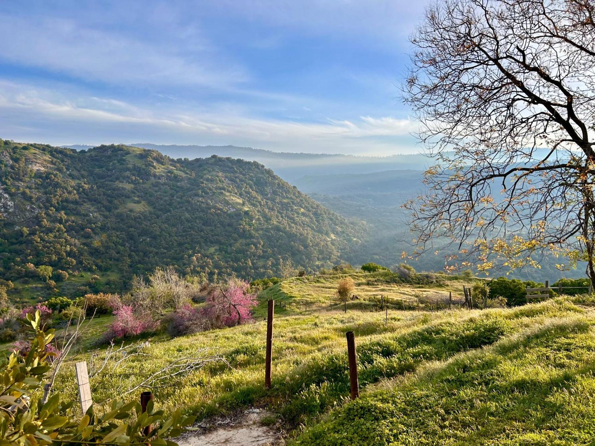 הוילה Miramonte Mystic Mountain Retreat מראה חיצוני תמונה